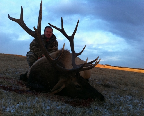 McNeice Outfitting - Elk Hunts