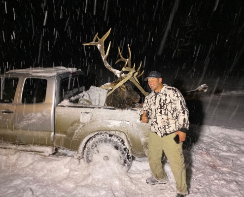 McNeice Outfitting - Elk Hunts
